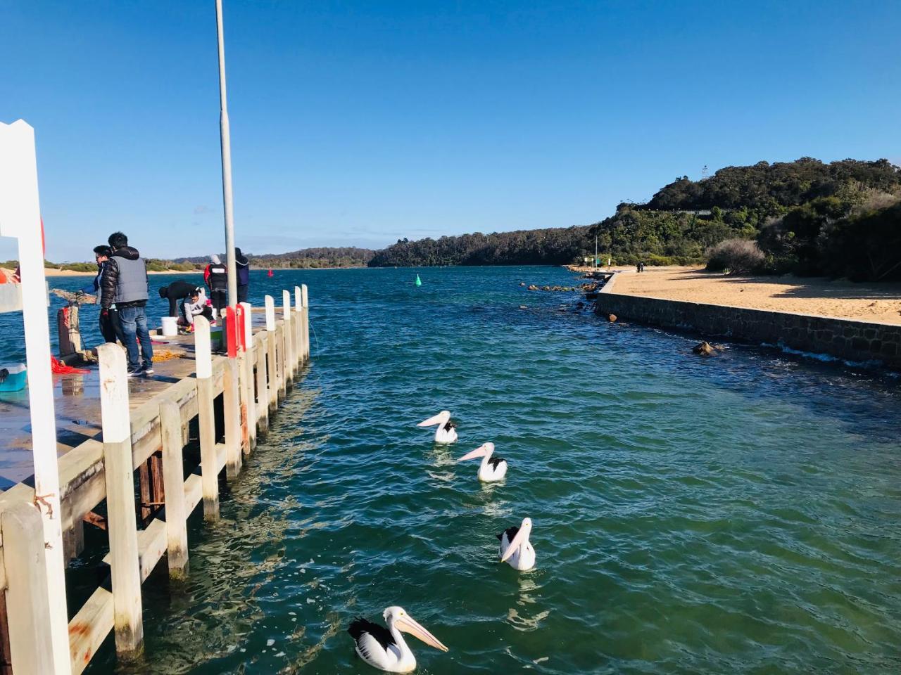 Black Swan Motor Inn Lakes Entrance Εξωτερικό φωτογραφία